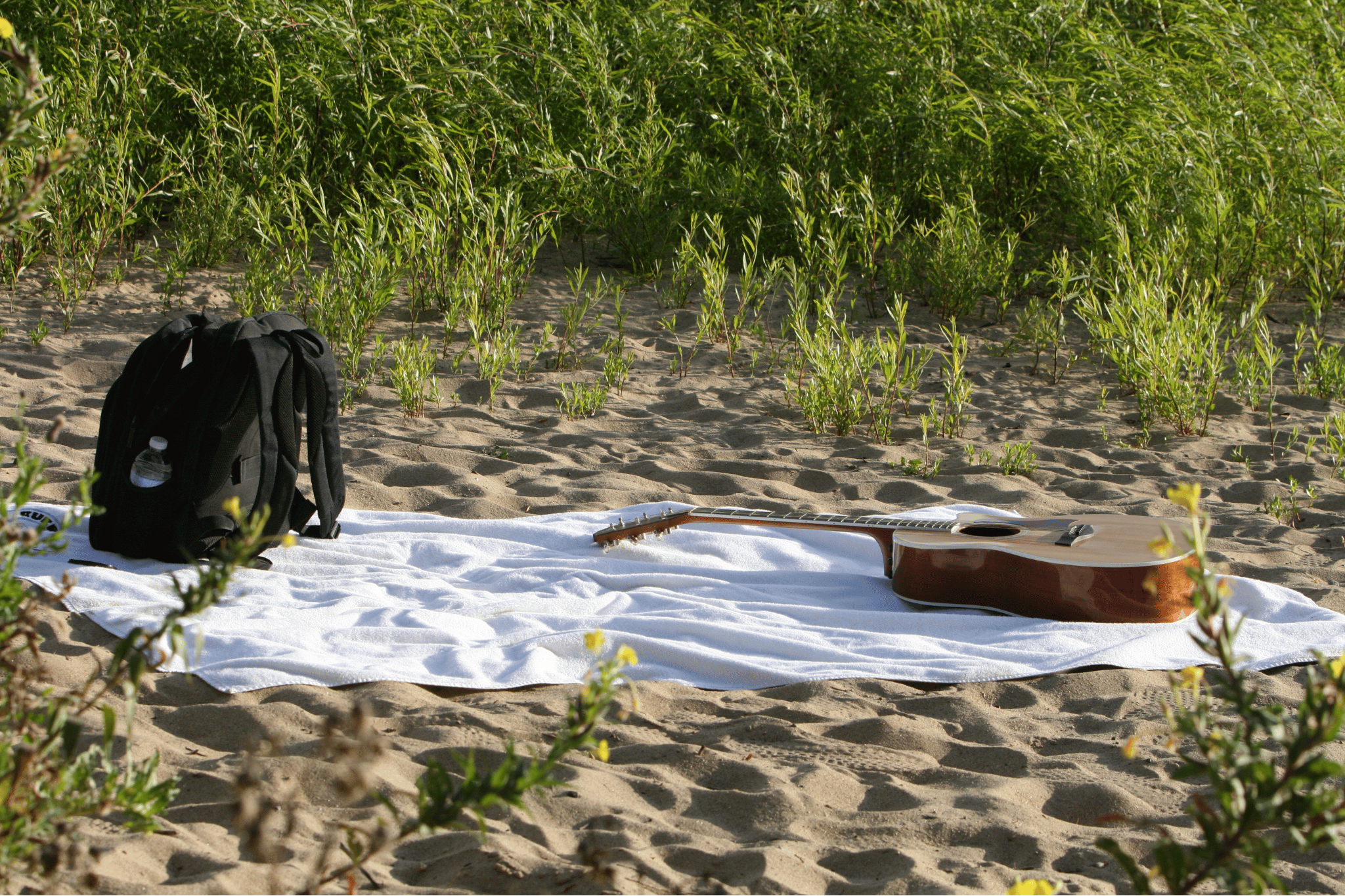 Guitar and backpack on a big towel in a natural setting with greenery